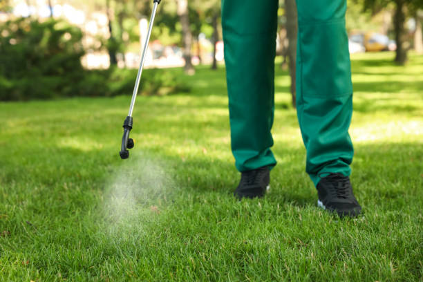 Best Best Pest Control Companies  in Williams, OR