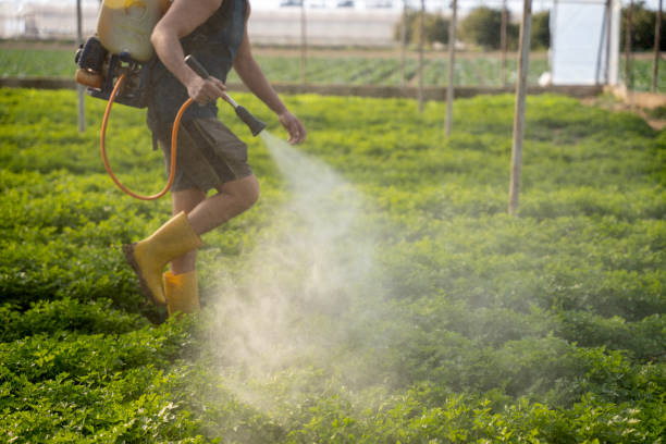 Best Pest Prevention Services  in Williams, OR