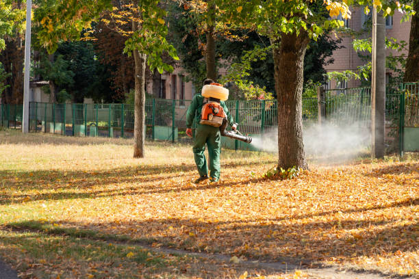Best Cockroach Control Services  in Williams, OR
