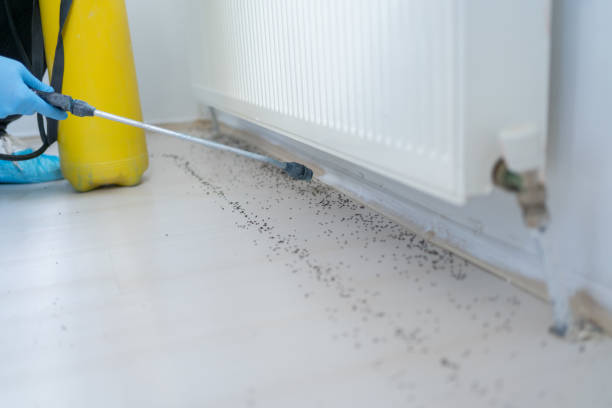 Best Bed Bug Extermination  in Williams, OR