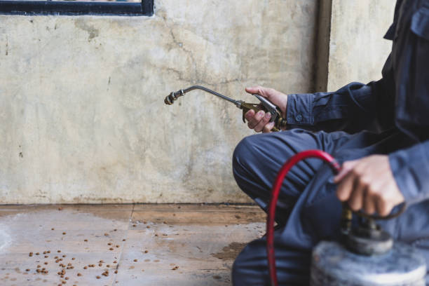 Best Best Pest Control Companies  in Williams, OR